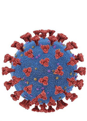 virus