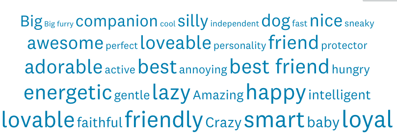 Word cloud including silly, loveable, and best friend