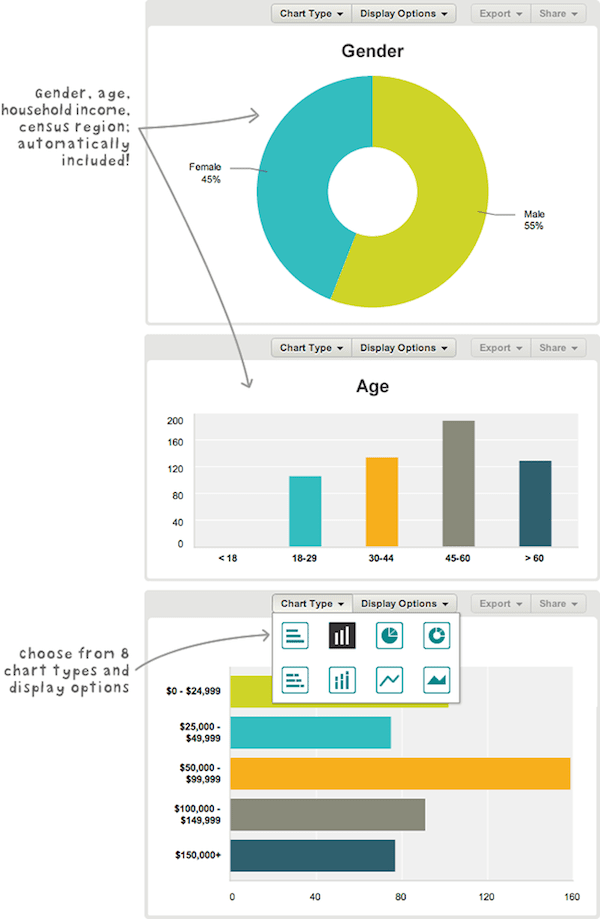 Screenshot of demographic data display